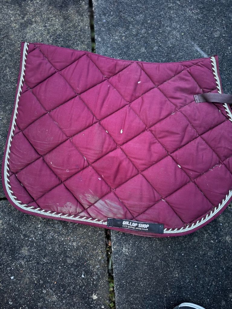 Horse saddle pads 