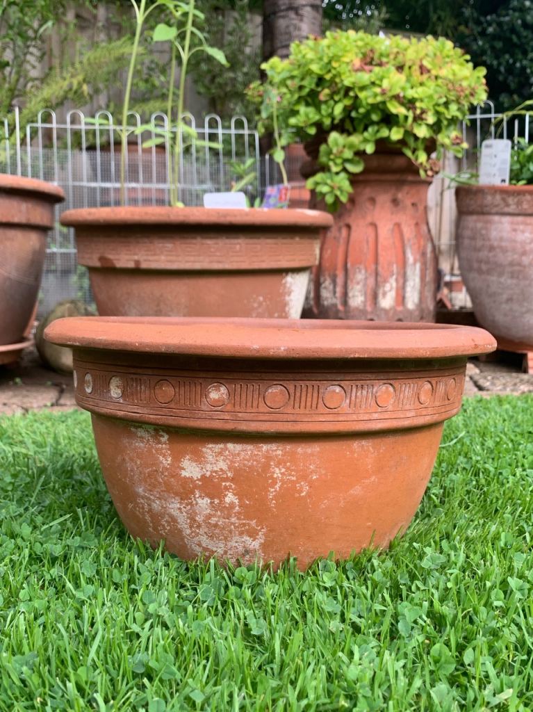 Older Italian terracotta plant pot 