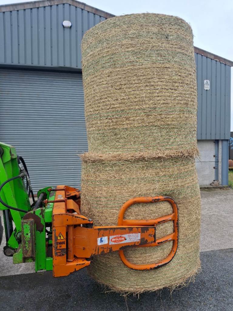 Ritchie Bale Grab