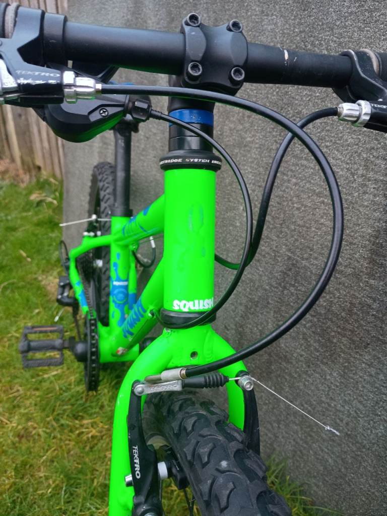 Squish 20" green kids bike