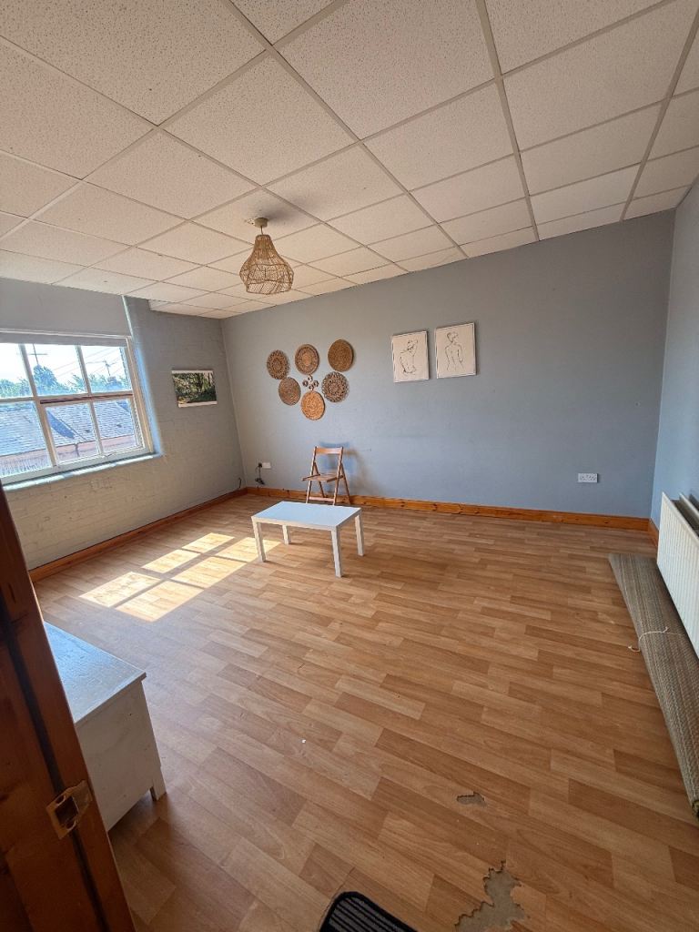 Large 1 bedroom flat in Woodville St Lurgan