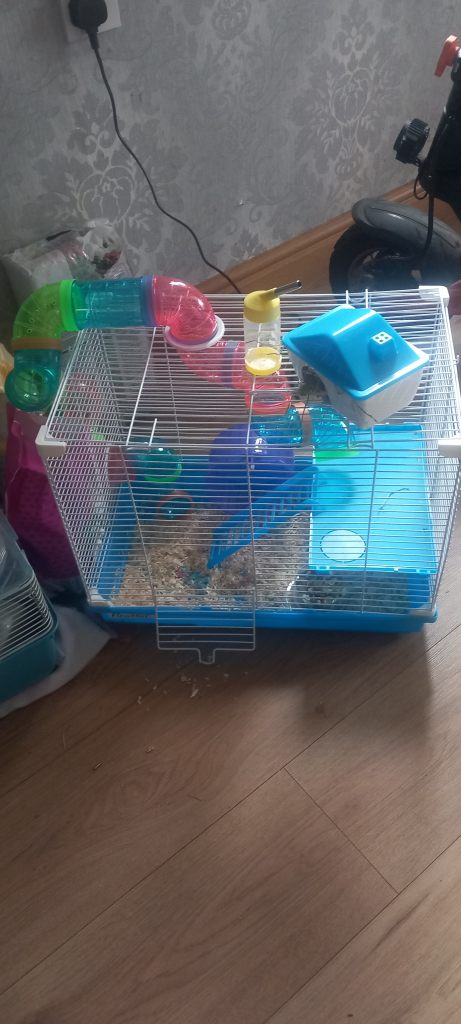Hamster cage