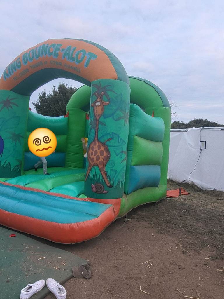 Commercial grade bouncy castle jungle 12 x 16 ft with roof
