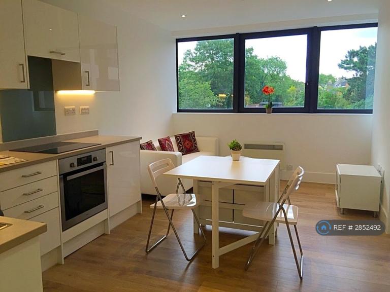 1 bedroom flat in Hanover House, Reading, RG1 (1 bed) (#2852492)