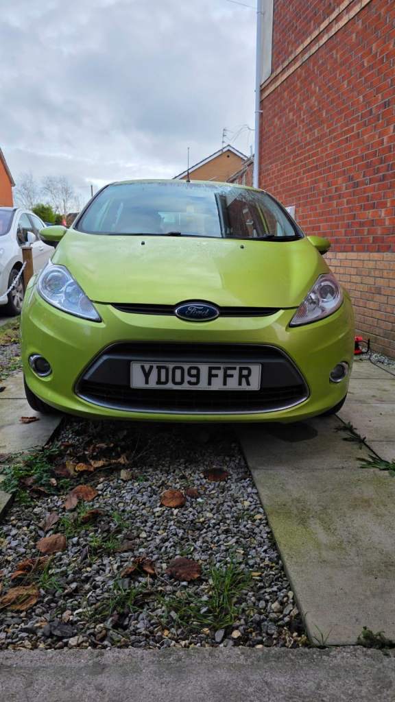 Ford, FIESTA, Hatchback, 2009, Manual, 1388 (cc), 5 doors