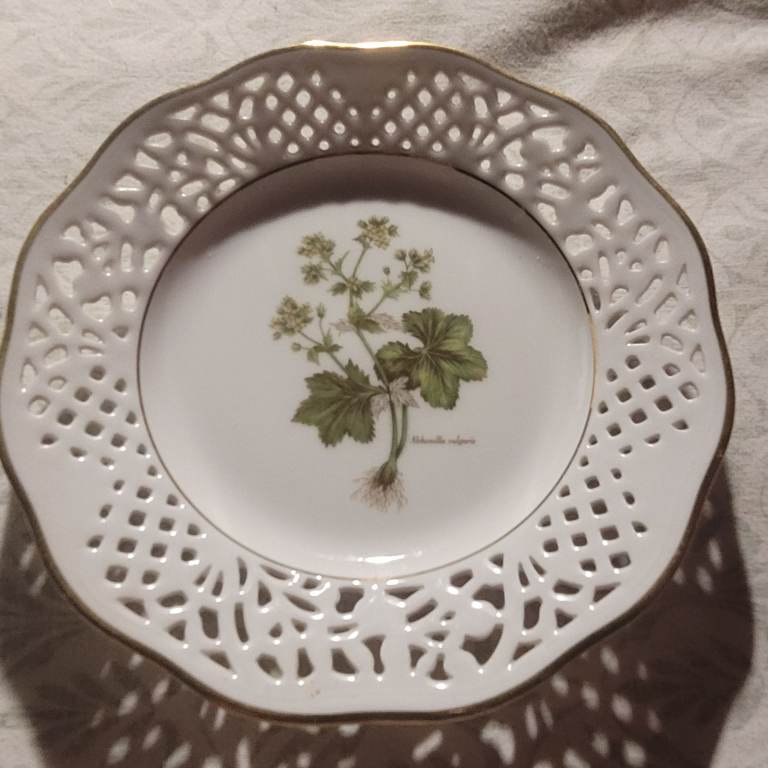 Schumann Germany Reticulated Porcelain Decorative 19cm Plate - Alchemilla vulgaris (J7)
