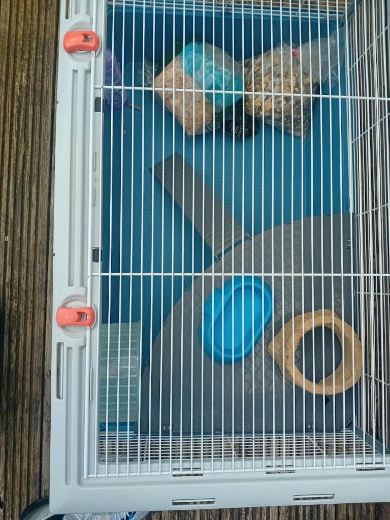 Hamster cage 