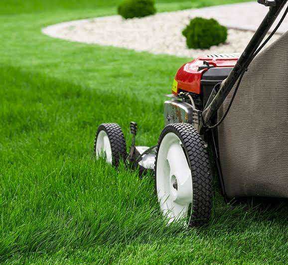 Gardening available - Lawn mowing grass strimming, hedge & weeding, Tree surgeon & Turfing