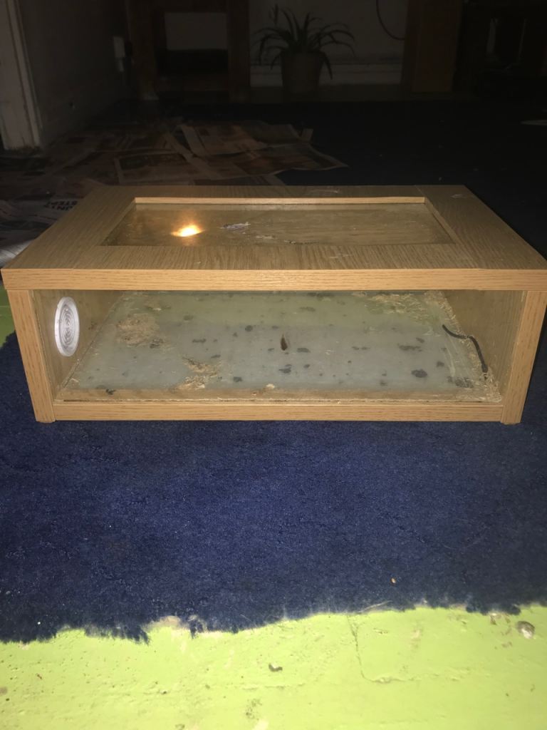 Gecko/Lizard Ventilated Wood and glass box
