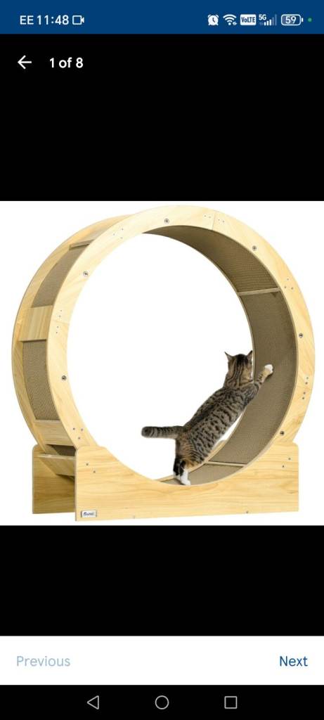 Paw hut cat wheel