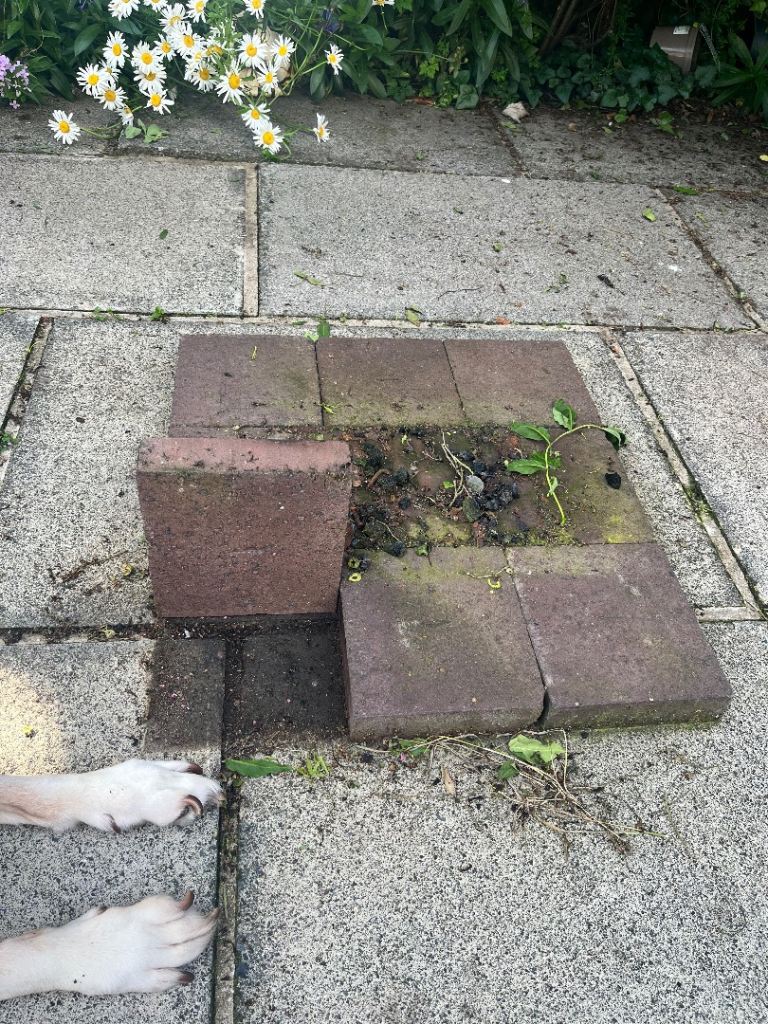 9 fire bricks
