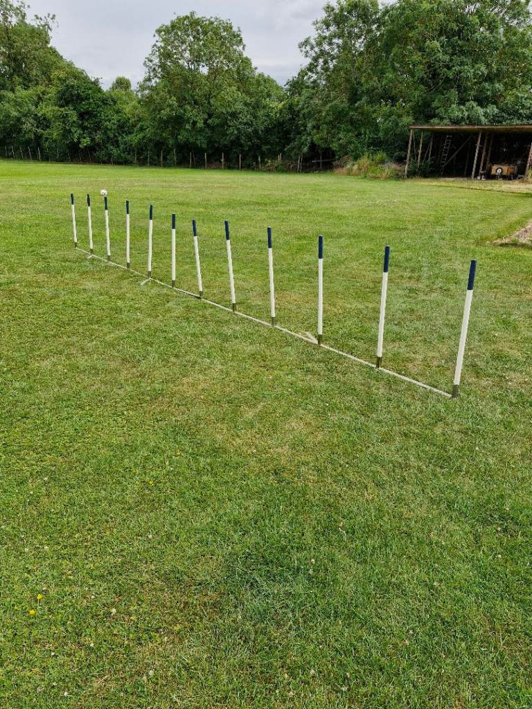  Dog Agility Weaves 