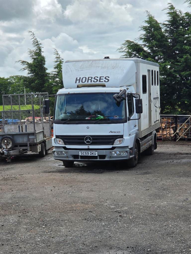 Horsebox 