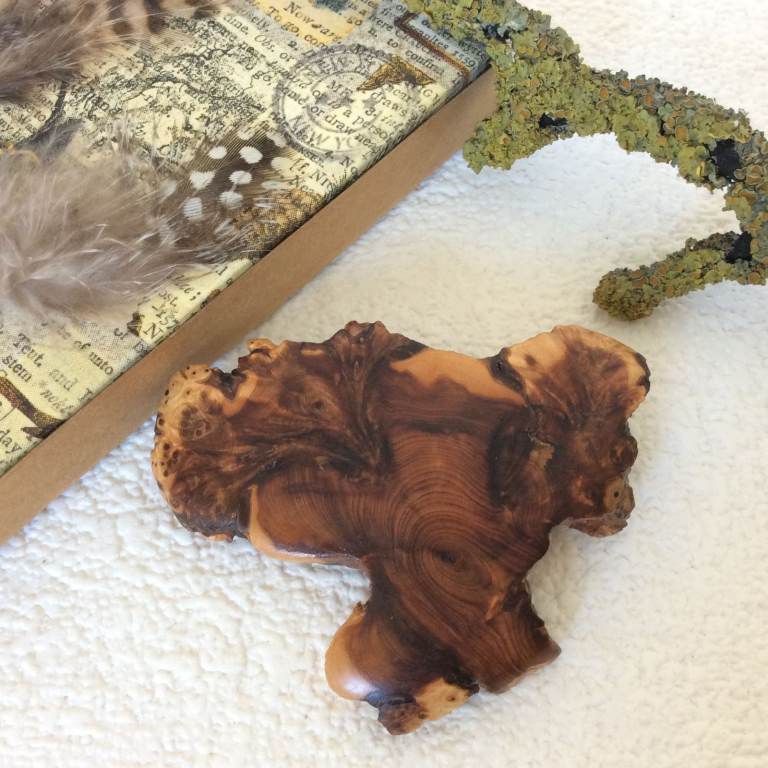 Vintage wooden brooch - Tree shape - Gift box - Large 6.5cm/2.6in (#137 ...