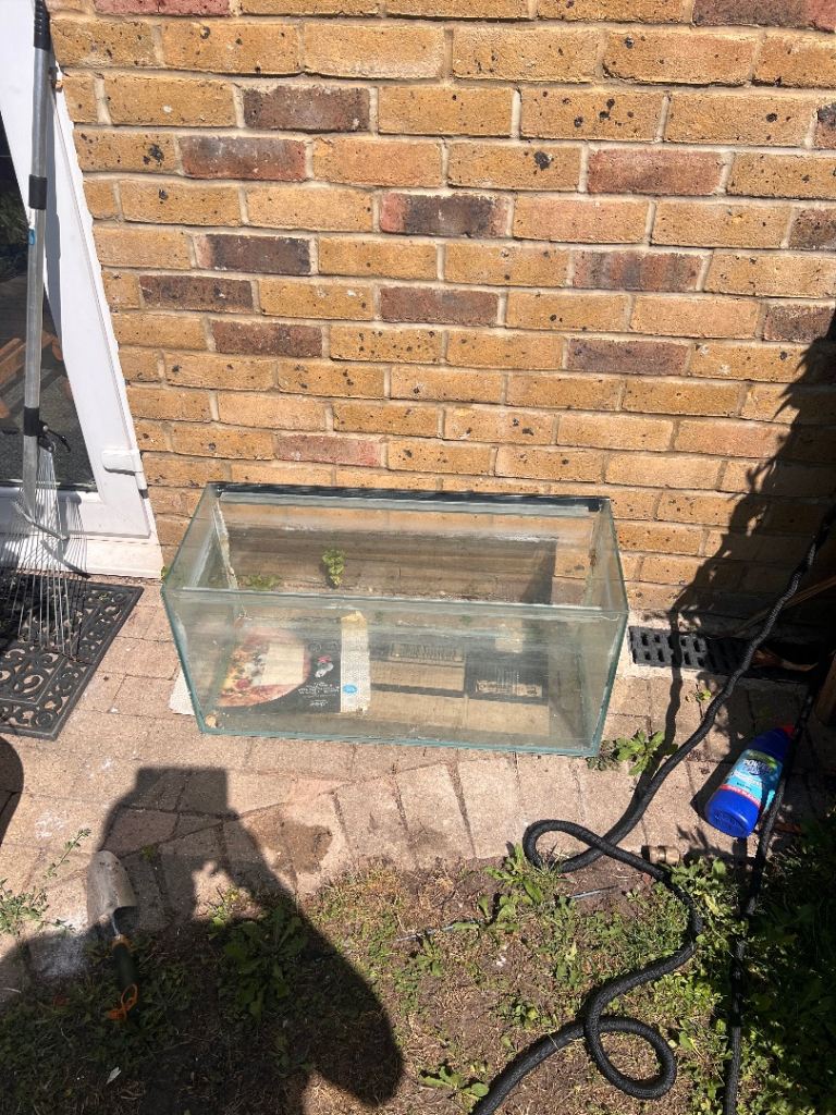 Glass Aquarium / Vivarium – Needs a Good Clean