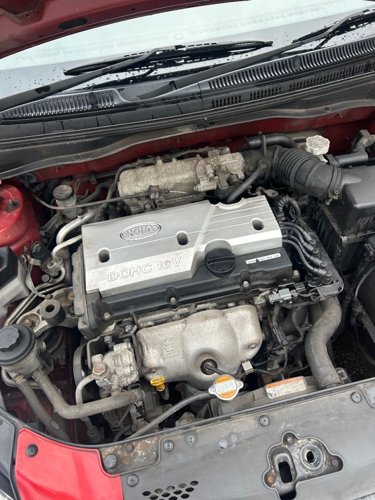 Kia, RIO, Hatchback, 2009, Manual, 1399 (cc), 5 doors