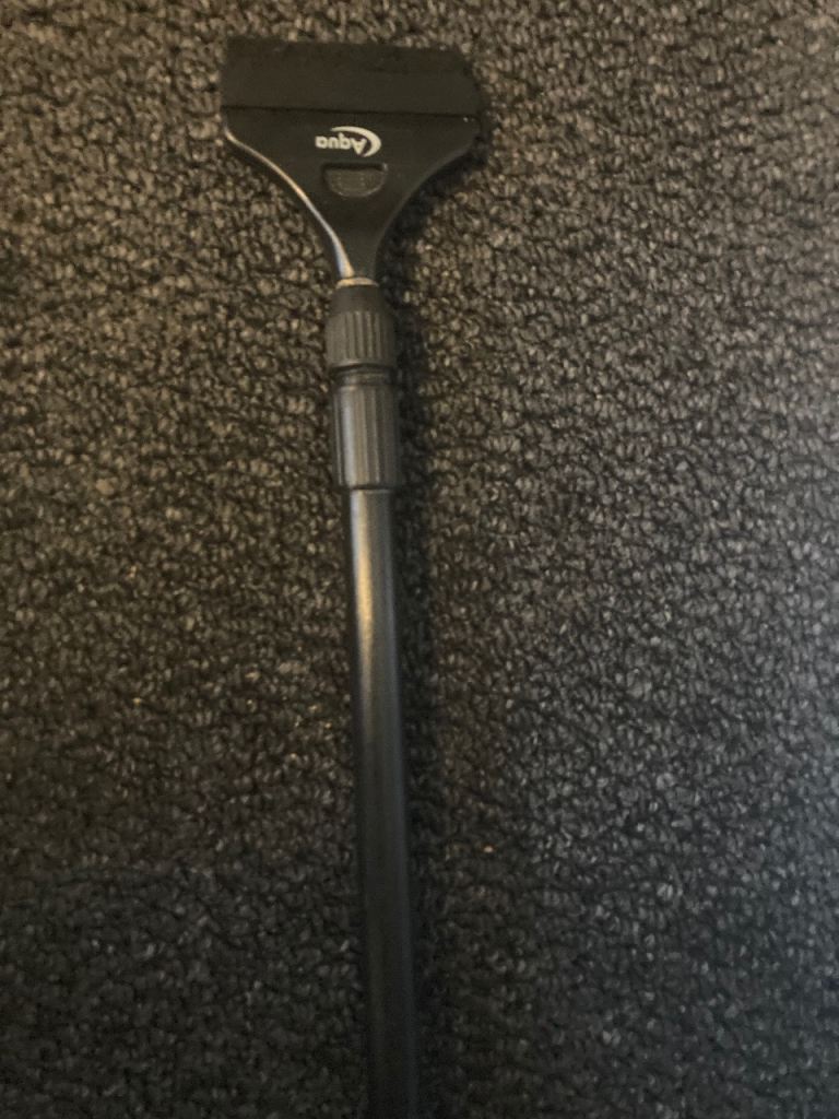 Fish take algae scraper