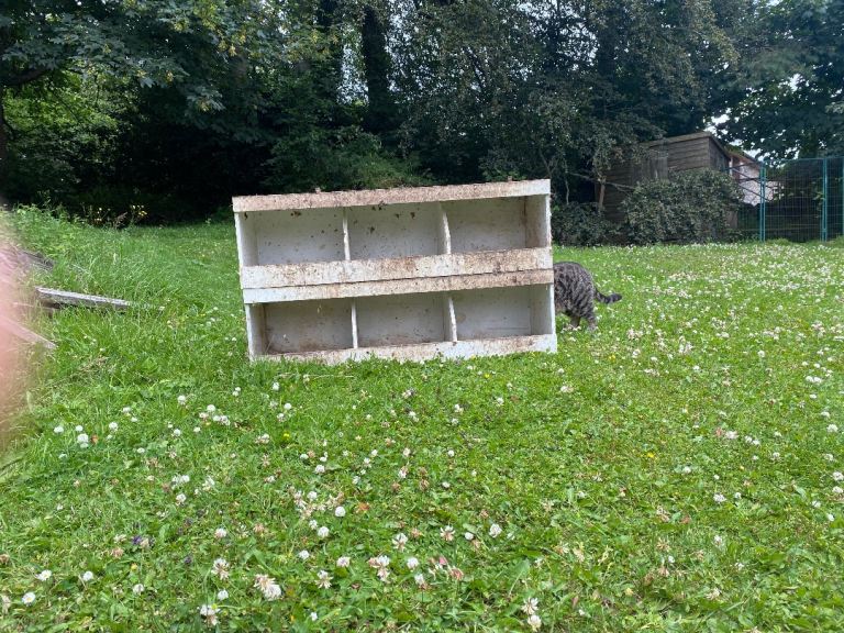 Chicken nesting box