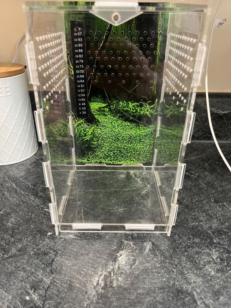 Jumping Spider Enclosure Clear Acrylic Terrarium for Snake  Tortoise Mantis Etc