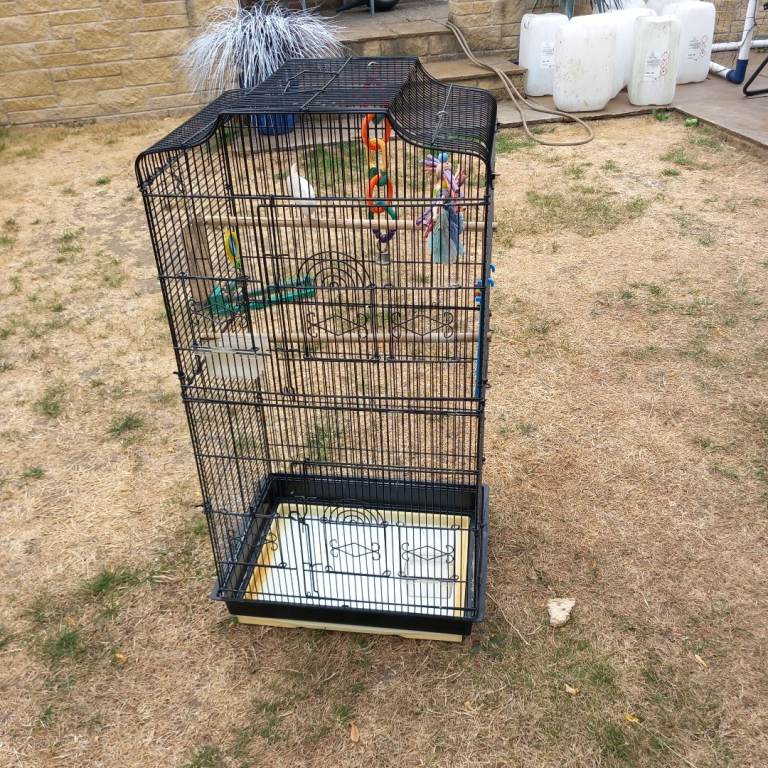 Bird cage for sale