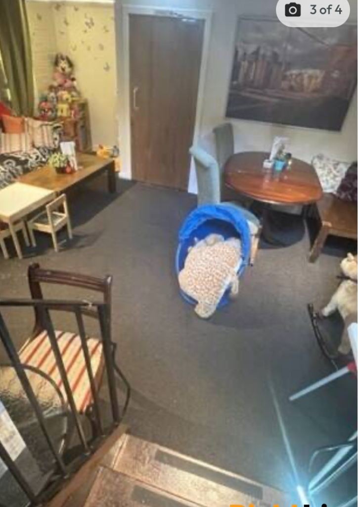 Cafe’ bistro class3 (negotiable )