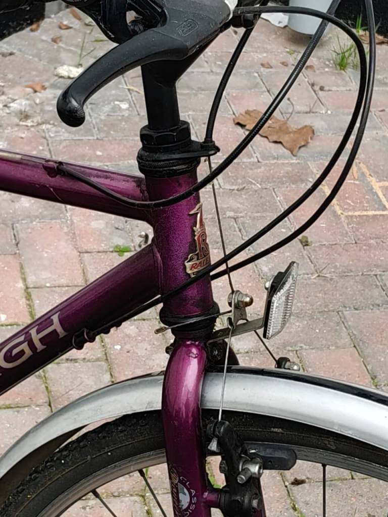 Adults Cycle
