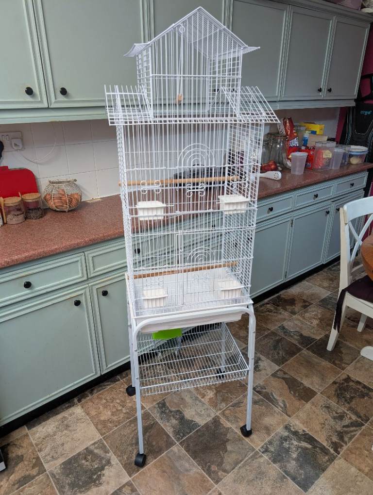 Bird Cage 