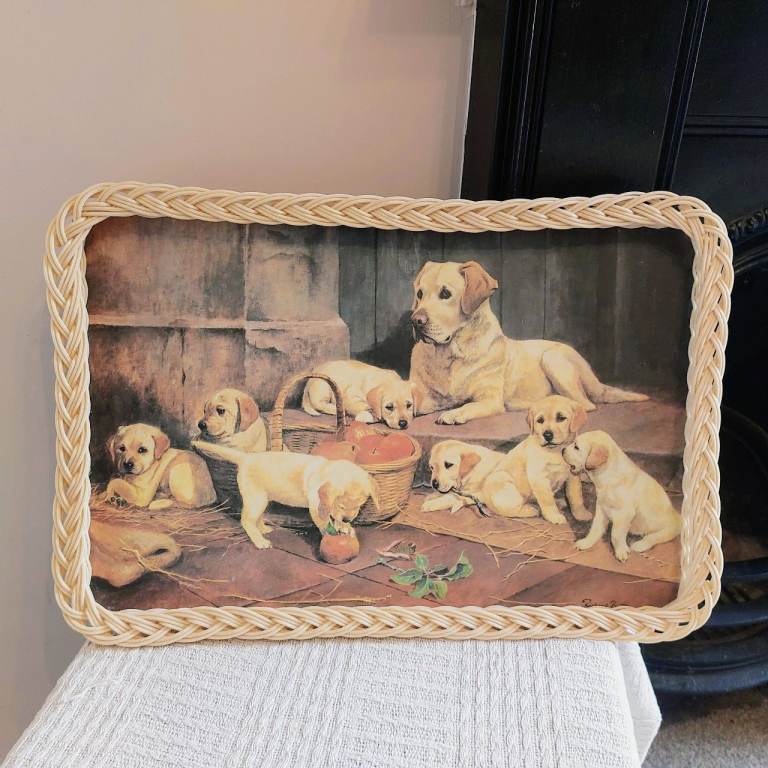 Large Vintage Melamine Tray With Woven Edge 
