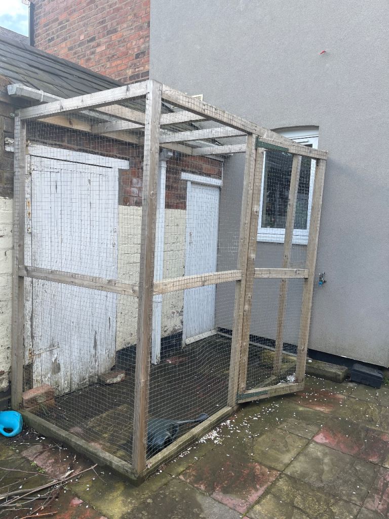 Catio