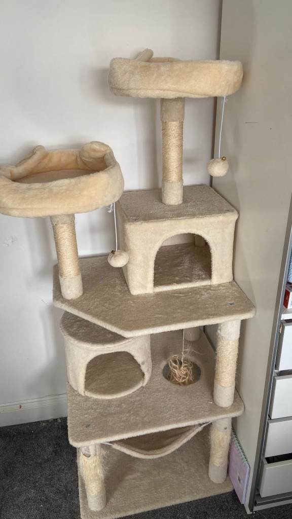 Cat stand 