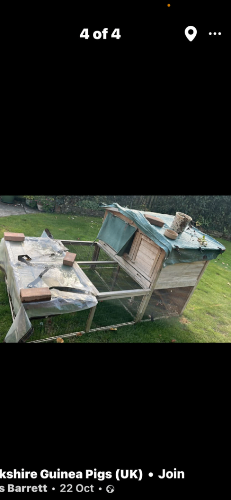 Guinea pig:/rabbit cage with run 