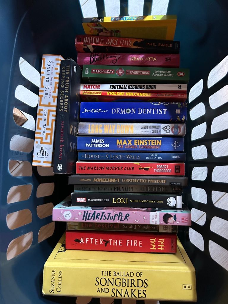 20x book bundle , teenager / young adult 