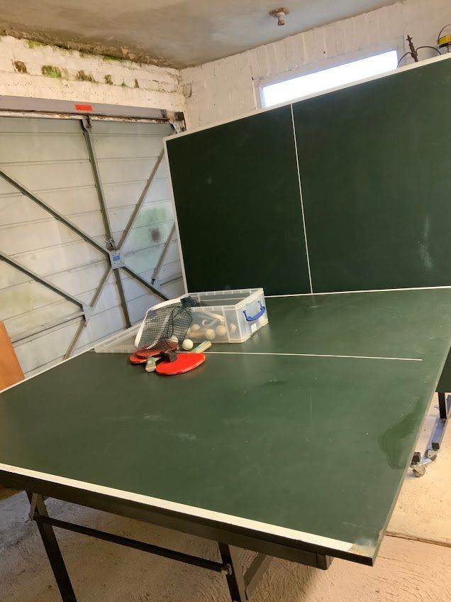 table tennis table