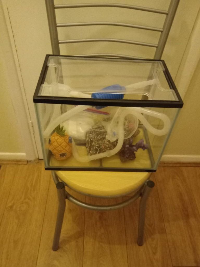 Aquarium with accessories