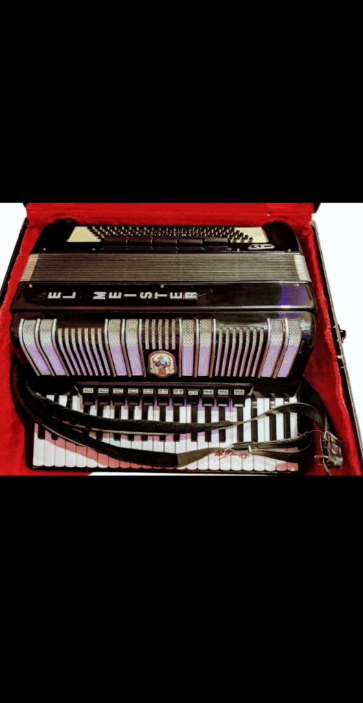Accordion Weltmeister S4 120 Bass