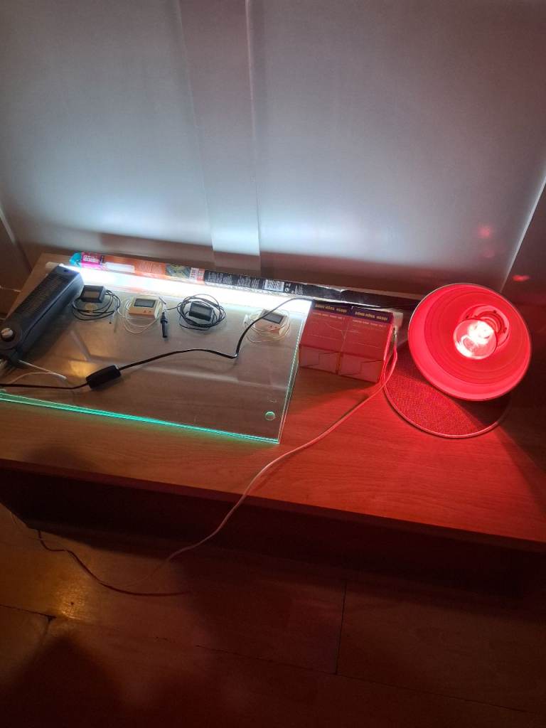 Reptile 4ft Vivarium 