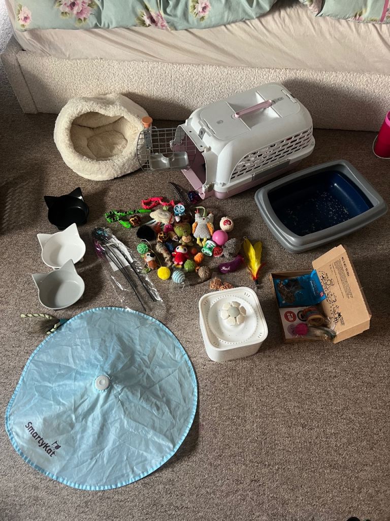 Huge kitten cat Pet Supplies Bundle toys carrier box litter