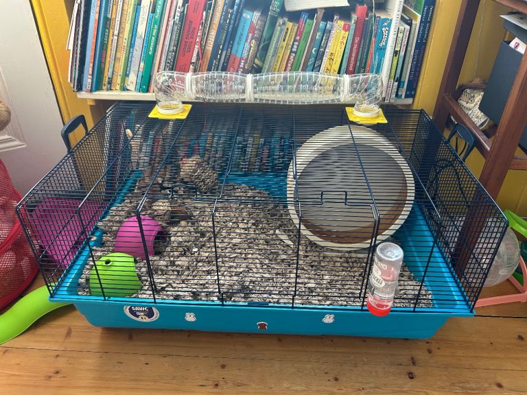 Hamster Cage 