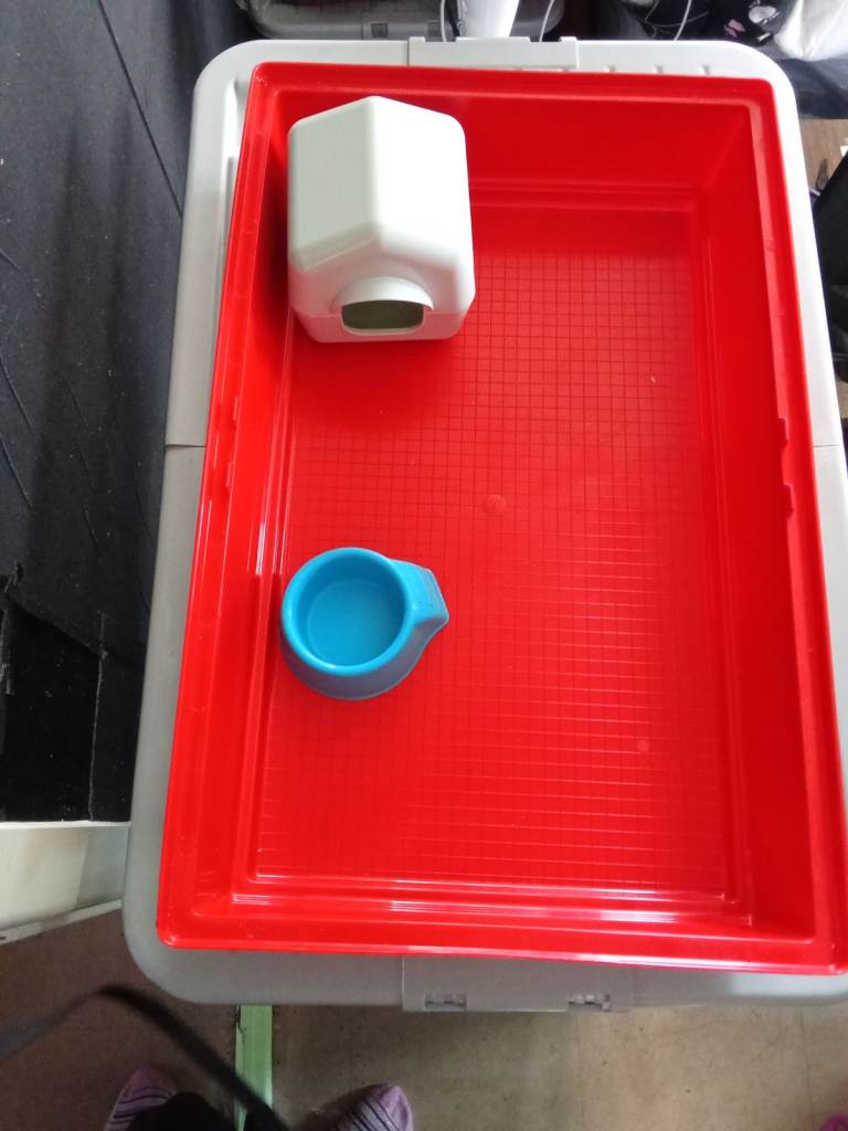 hamster cage