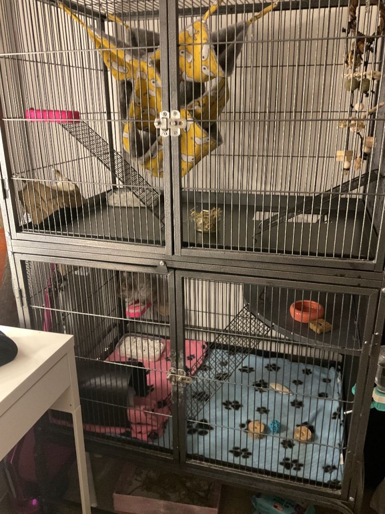 MASSIVE ANIMAL CAGE BUNDLE (READ DESCRIPTION)