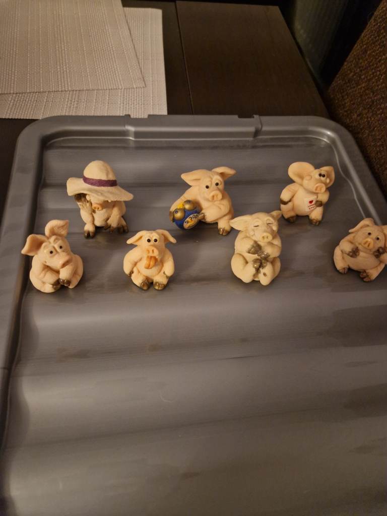 Piggin pigs 