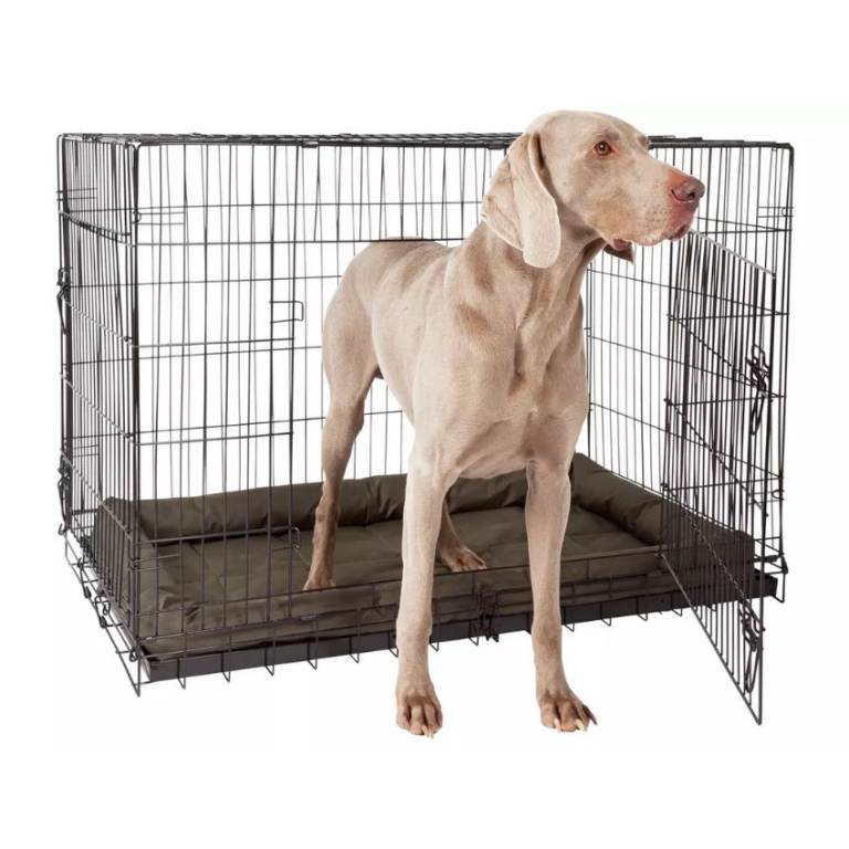 Double Door XXL Dog Crate (570/9739 (L-614))
