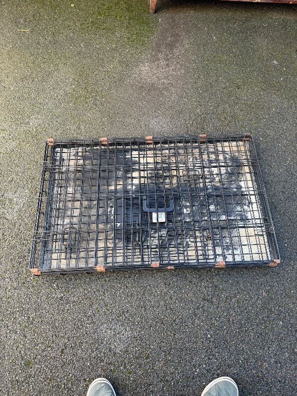 Big dog cage 
