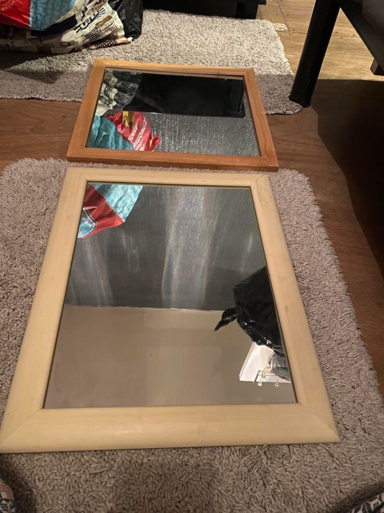 2 mirrors 
