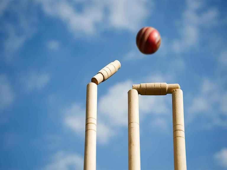 Cricketers wanted