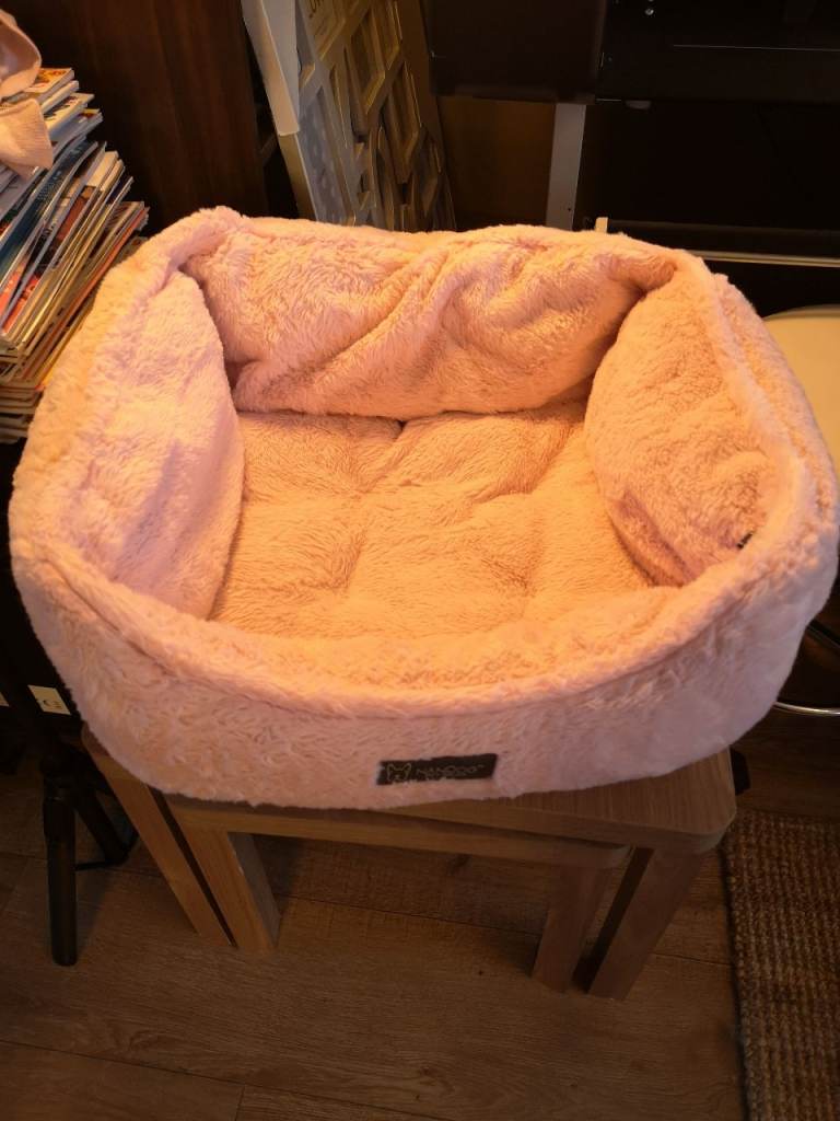 Two Small Dog Beds Lightly Used 