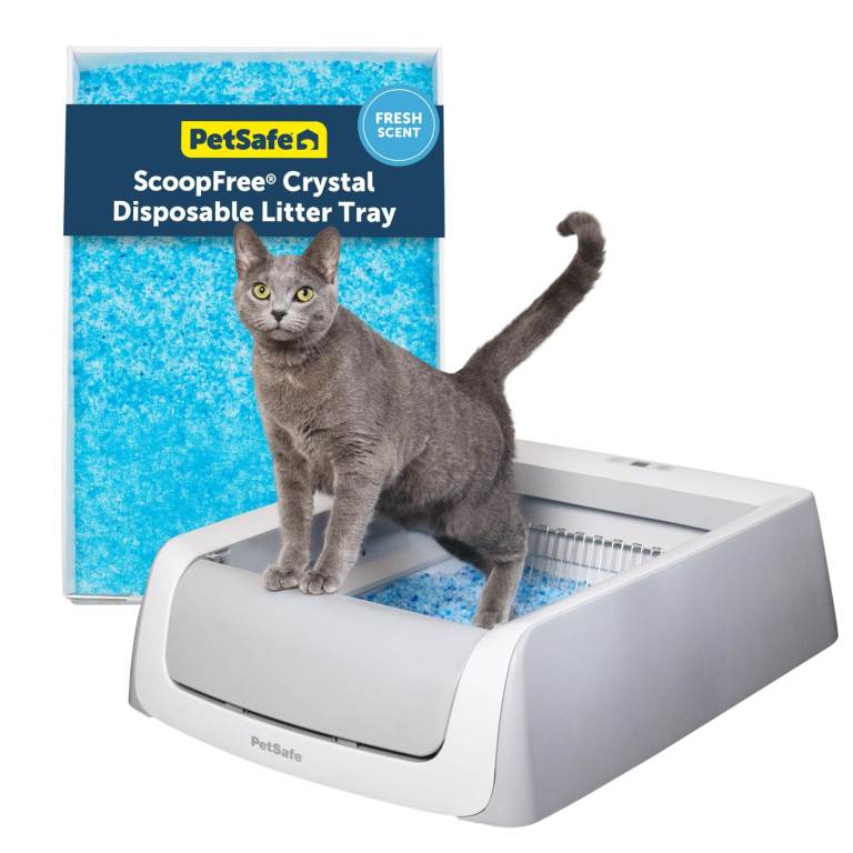 automatic cat litter tray