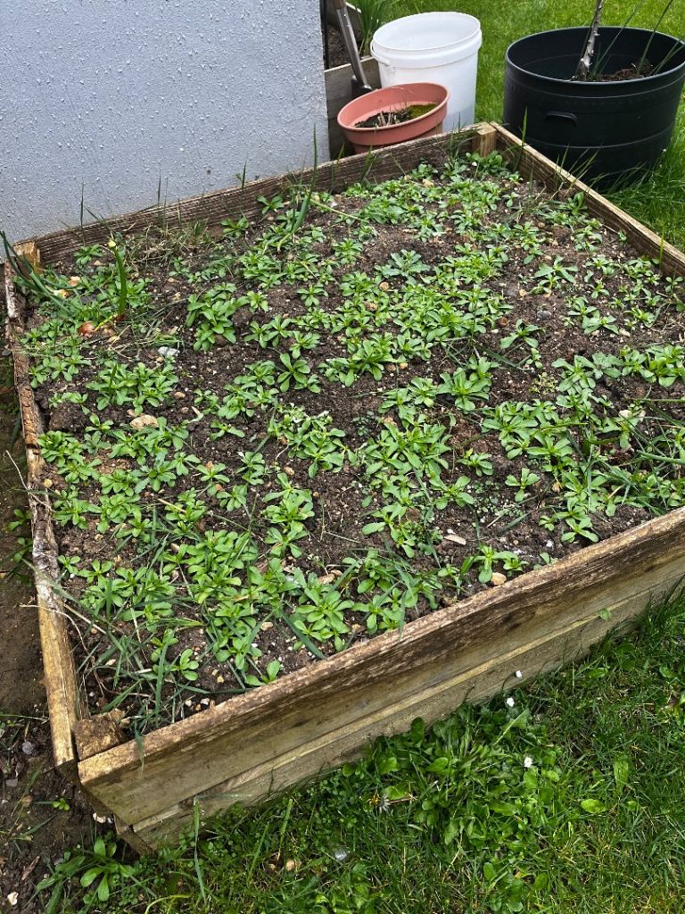 Free Garden soil/Compost mix for your garden/project