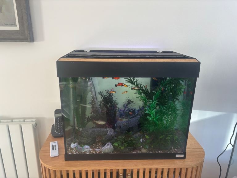 90 Ltr Fish Tank