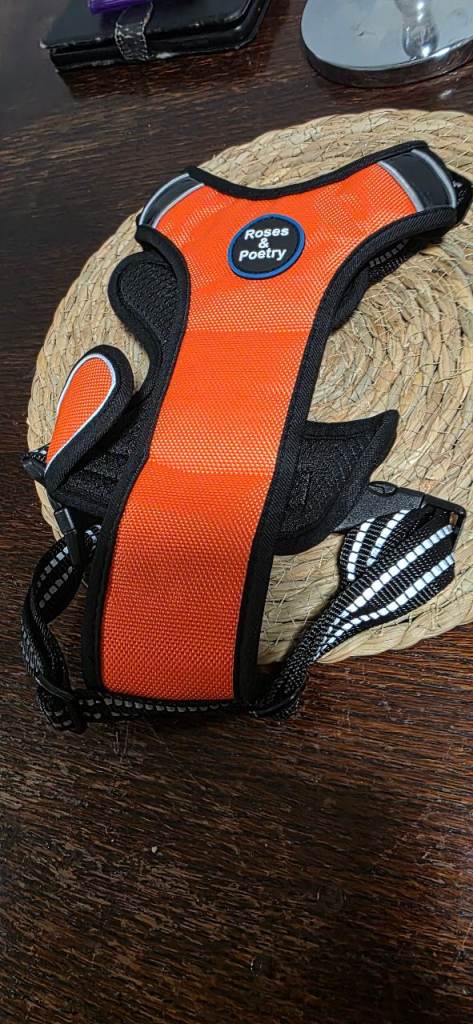 Roses and poetry dog harness 